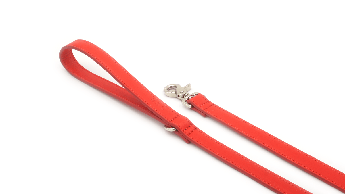 Red Lignify Dog Lead