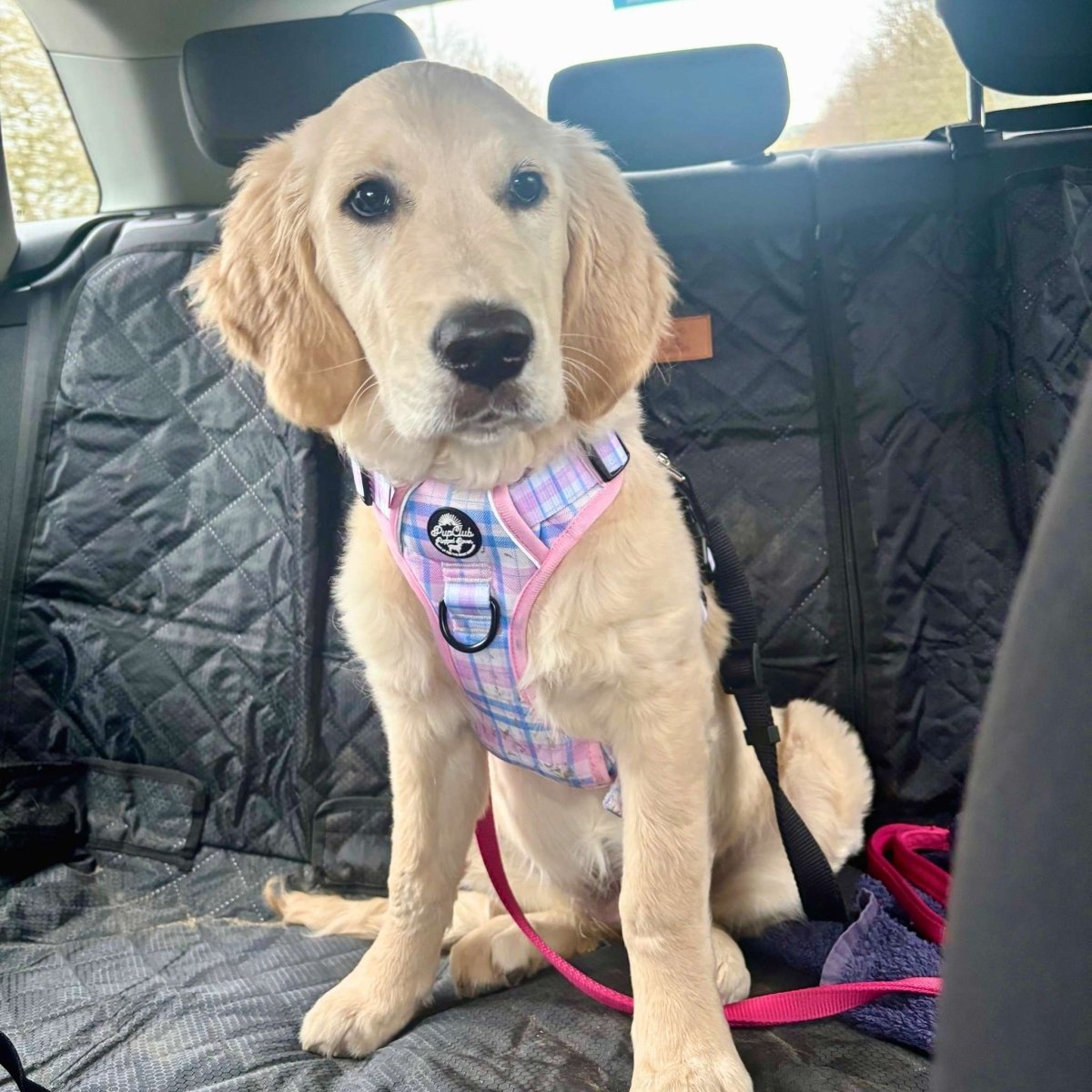 Rugged Rover™ Harness - Pink Tartan