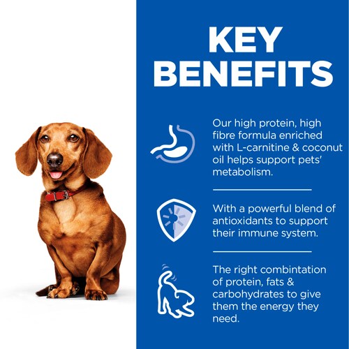 Hills - Perfect Weight Adult Small & Mini Breed Dog Mousse with Turkey - 200G