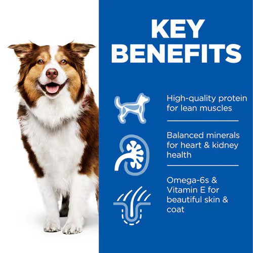 Hills -Mature Adult Wet Dog Food with Chicken (12X370G)