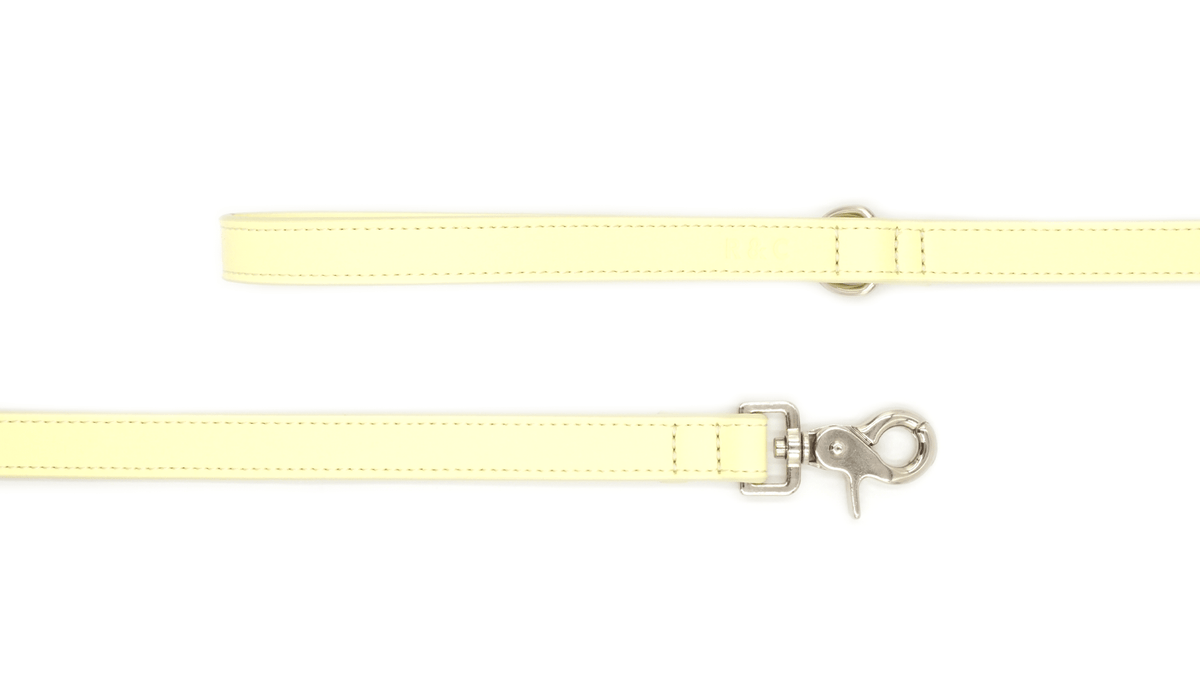 Yellow Lignify Dog Lead