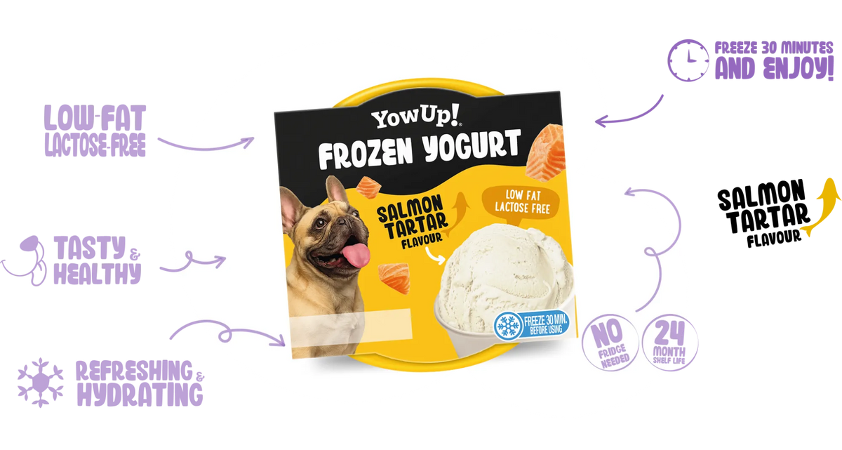 YowUp! Salmon Tartar Frozen Yoghurt for Dogs & Cats 110g – product packaging