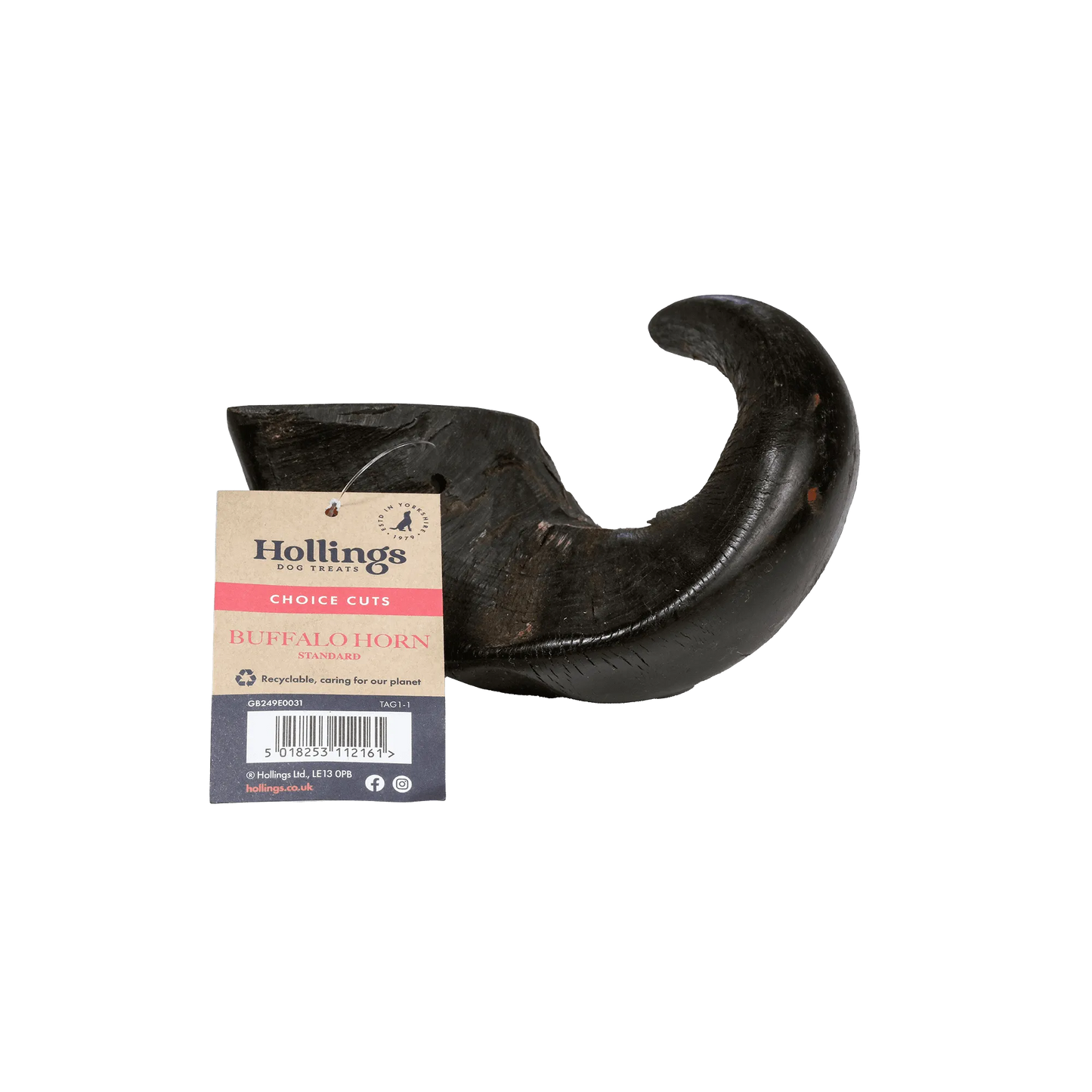 Buffalo Horn (Medium)