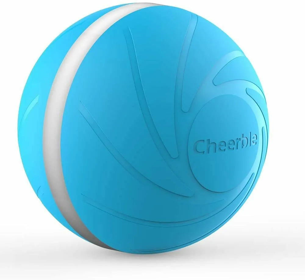 Wicked Ball - Interactive Toy