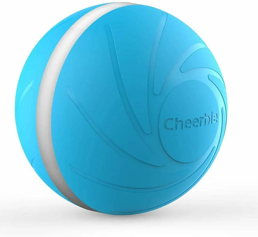 Wicked Ball - Interactive Toy