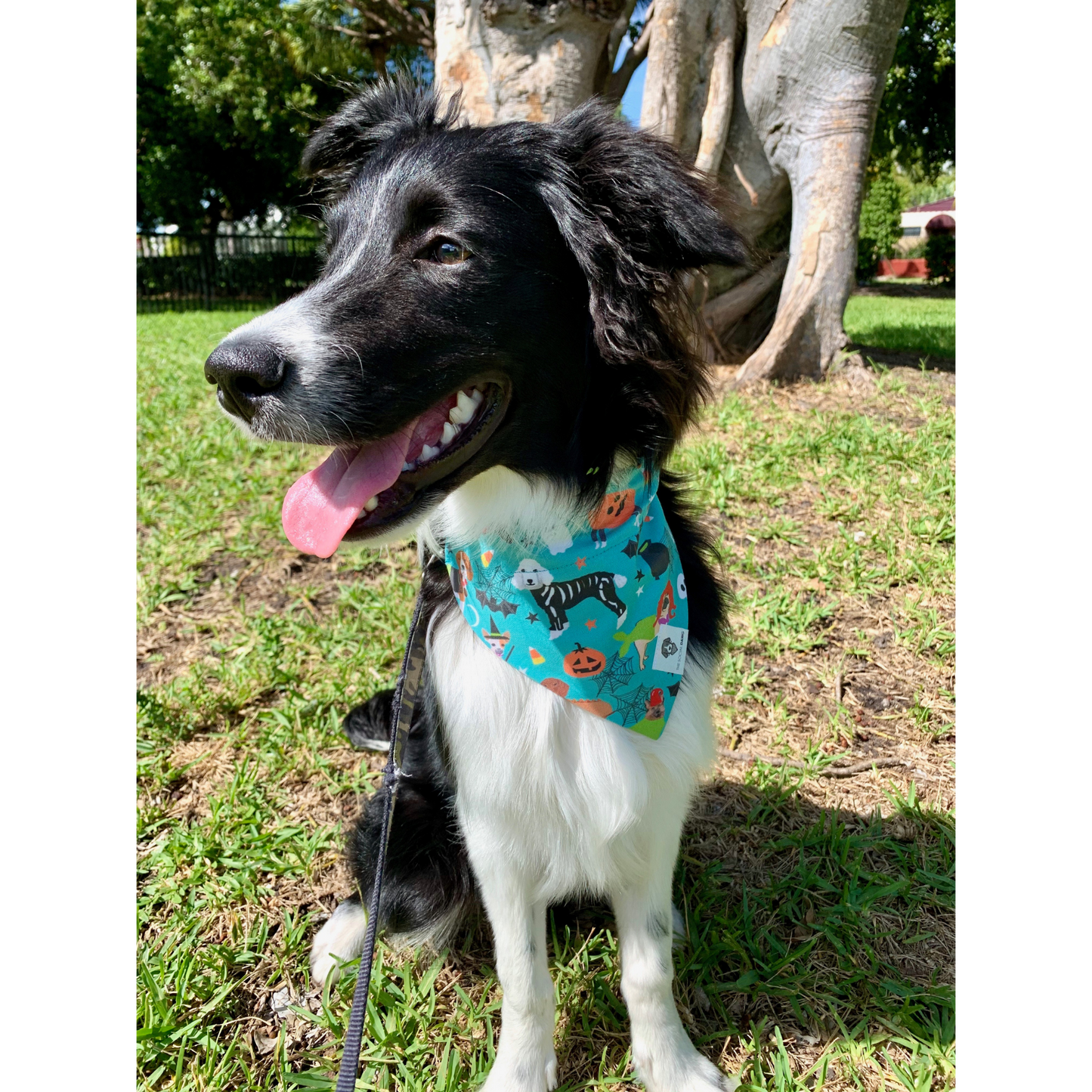 Dog Costumes Halloween Slip-On Dog Bandana