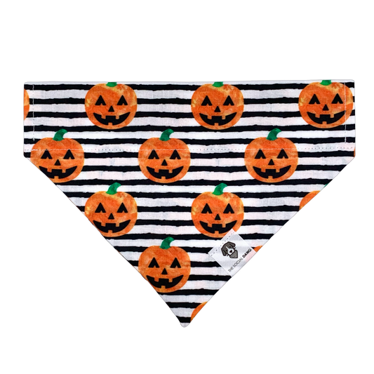 Jack O' Lanterns Slip-On Dog Bandana