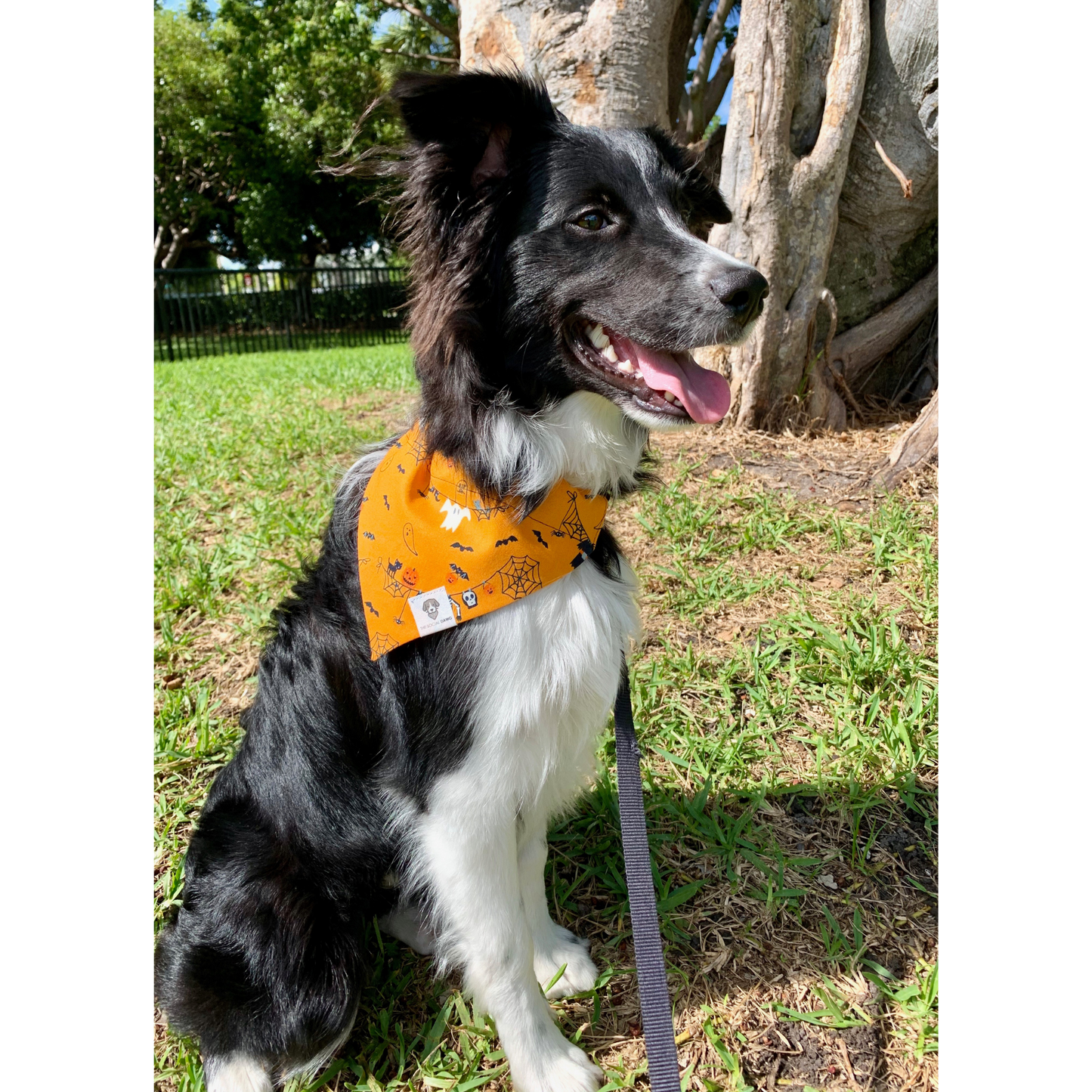 Halloween Spooky Slip-On Dog Bandana