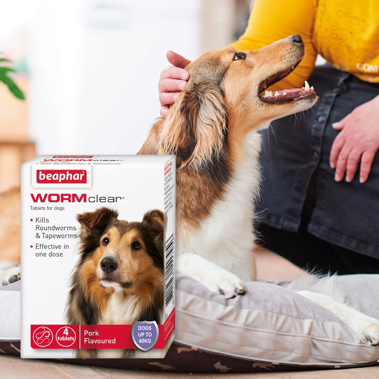 Beaphar WORMclear Dog (6-40kg)