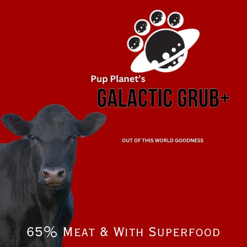 SUPERFOOD RANGE - Galactic Grub+ Angus Beef (Years 1-6) with SUPERFOOD