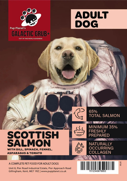 SUPERFOOD RANGE - Galactic Grub+ Salmon (Years 1-6) with SUPERFOOD