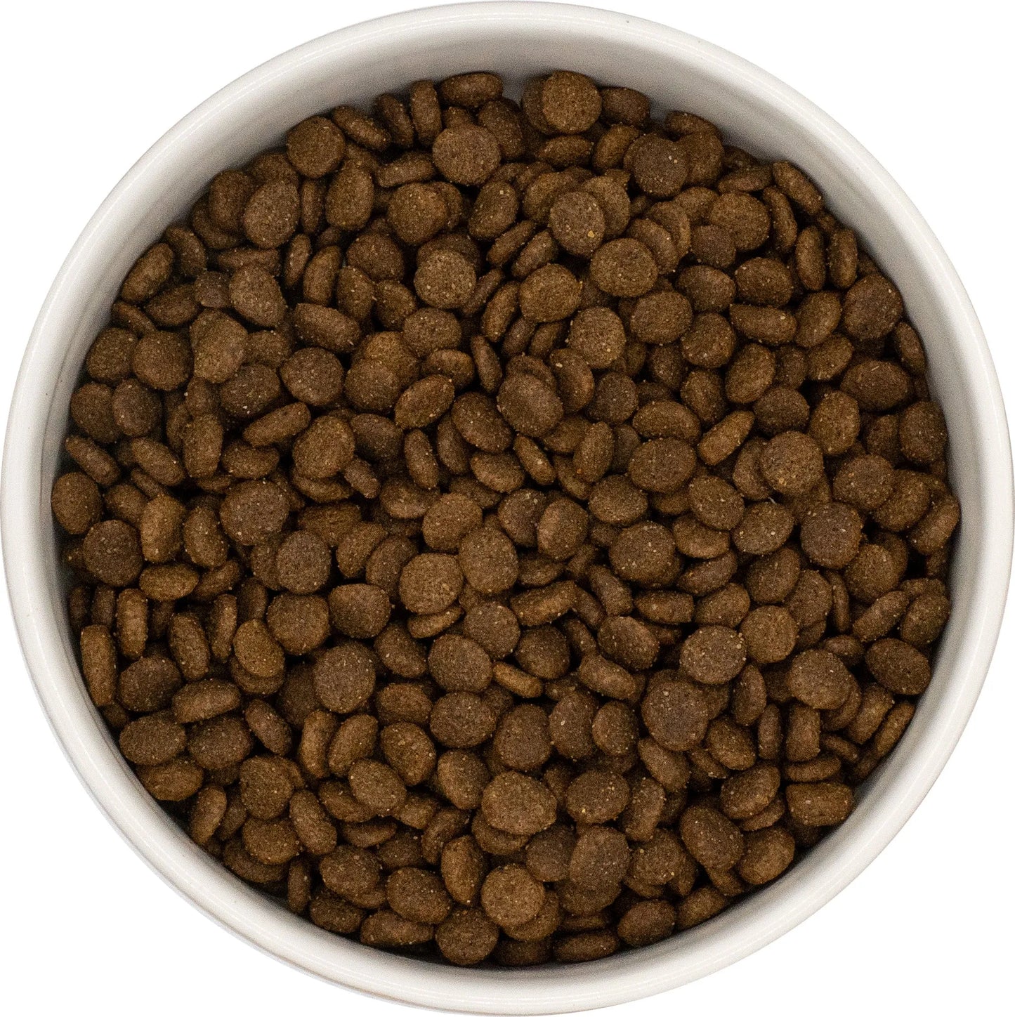 Galactic Grub Turkey (Small Breed, Puppy)