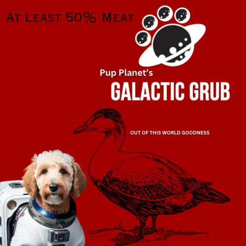 Galactic Grub Duck (Years 1-6)