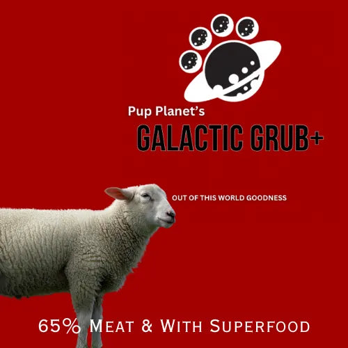 SUPERFOOD RANGE - Galactic Grub+ Lamb (Years 1-6) with SUPERFOOD
