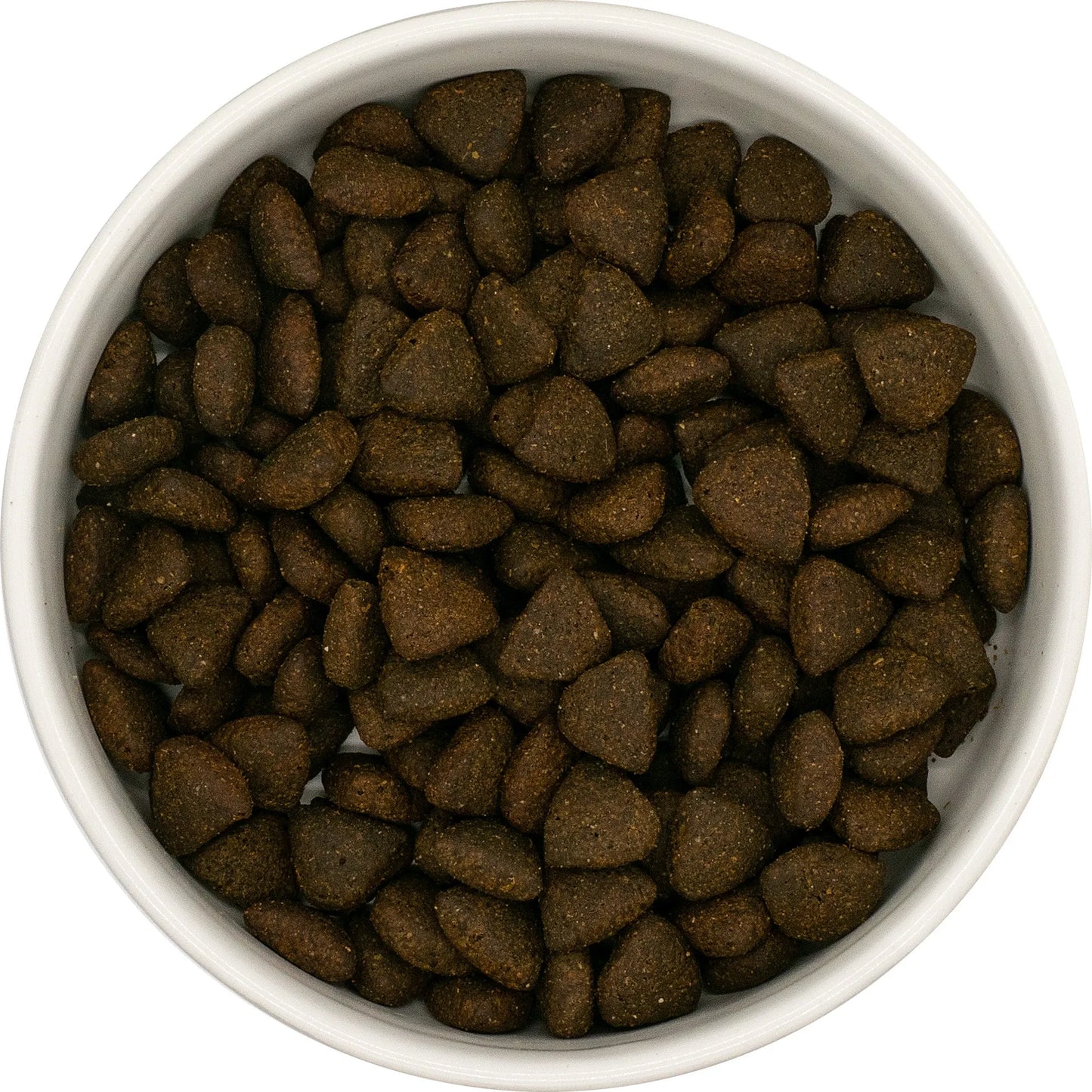 SUPERFOOD RANGE - Galactic Grub+ Salmon (Years 7+) with SUPERFOOD