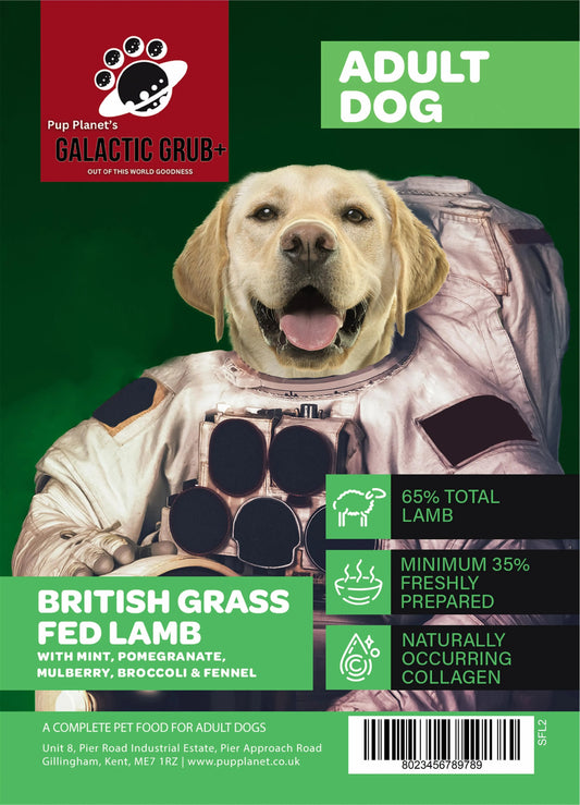 SUPERFOOD RANGE - Galactic Grub+ Lamb (Years 1-6) with SUPERFOOD