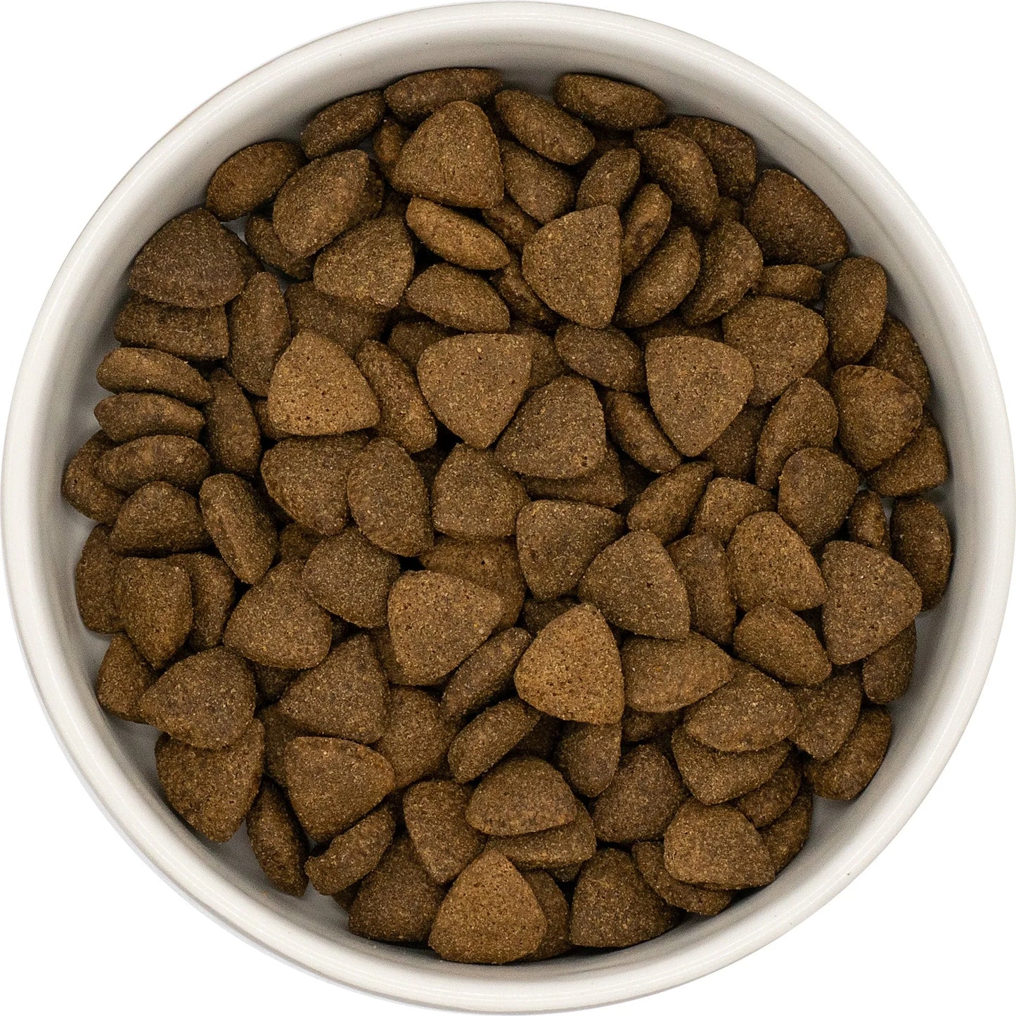 SUPERFOOD RANGE - Galactic Grub+ Angus Beef (Years 1-6) with SUPERFOOD