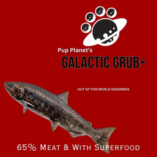 SUPERFOOD RANGE - Galactic Grub+ Salmon (Small Breed) with SUPERFOOD