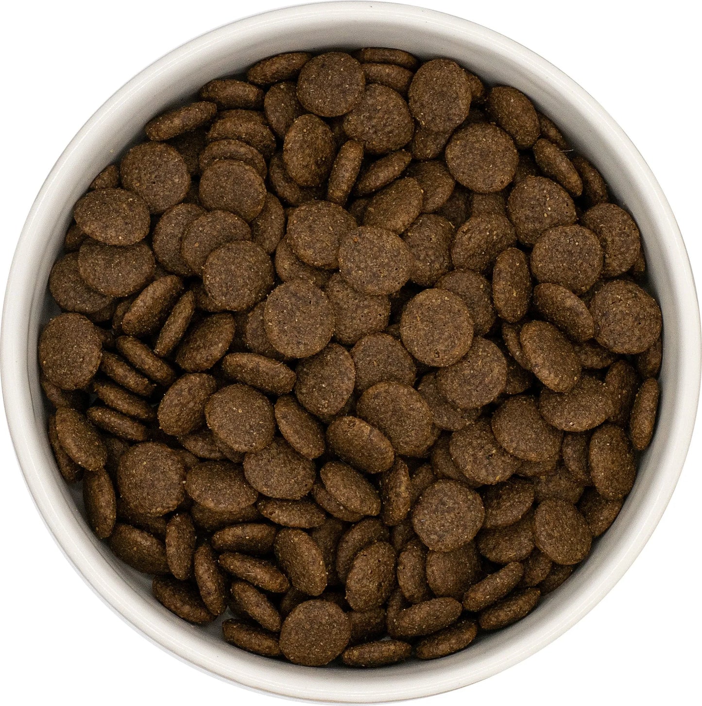 Galactic Grub Angus Beef (Years 1-6)
