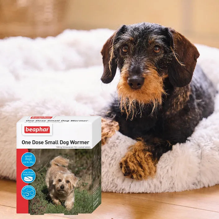 Beaphar WORMclear Dog (Up to 6kg)
