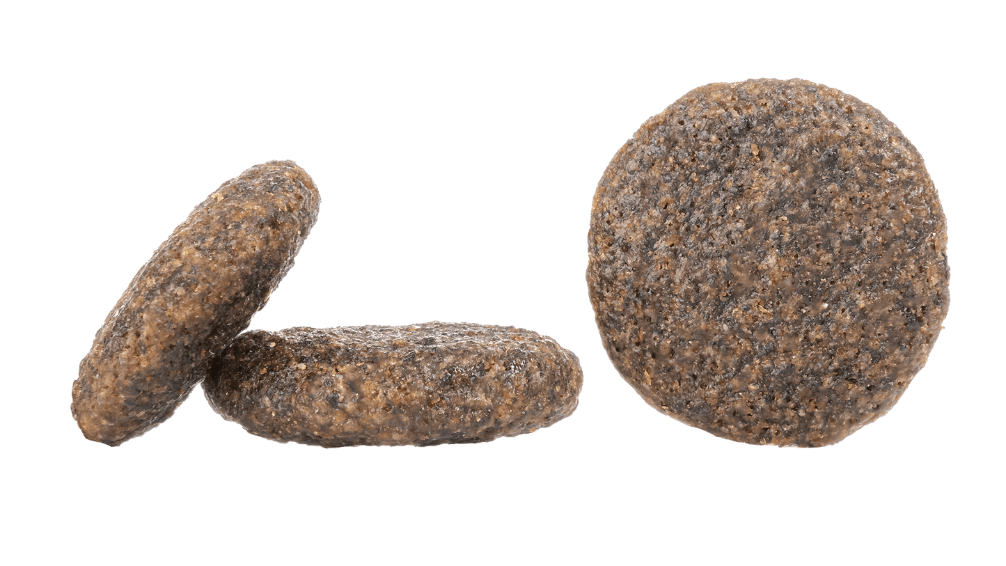 Sea Fish Dry Dog Food (Karibik)