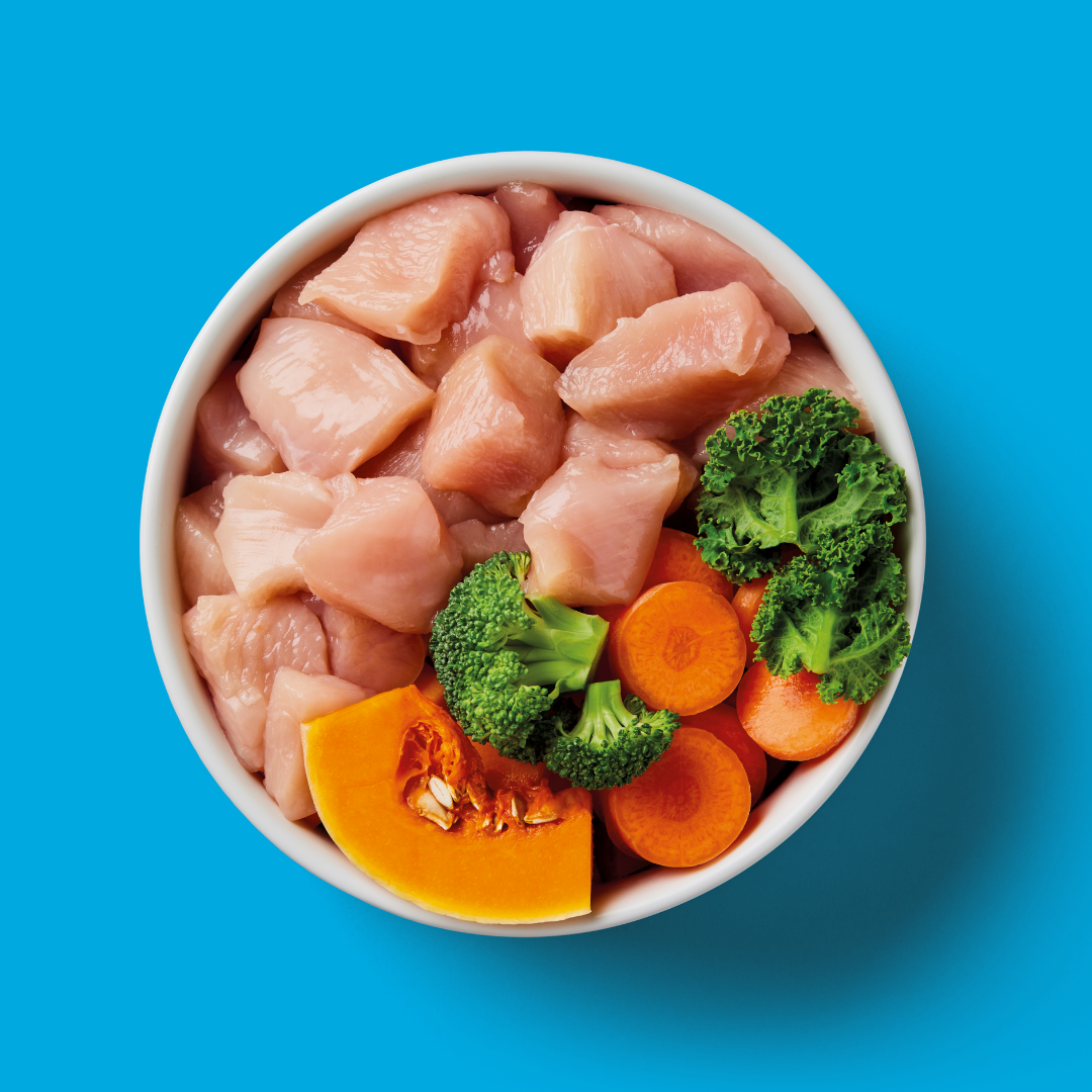 Raw chicken pieces with vegetables in a bowl on a blue background