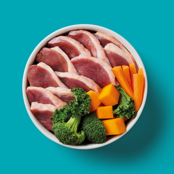 Raw meat slices with vegetables in a bowl on a teal background