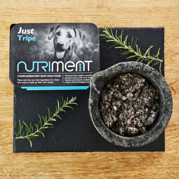 Nutriment - JUST Tripe - Adult - 500G Tub