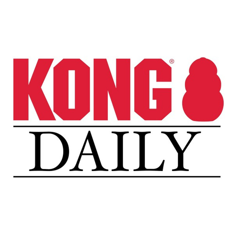 KONG Daily Newspaper XL