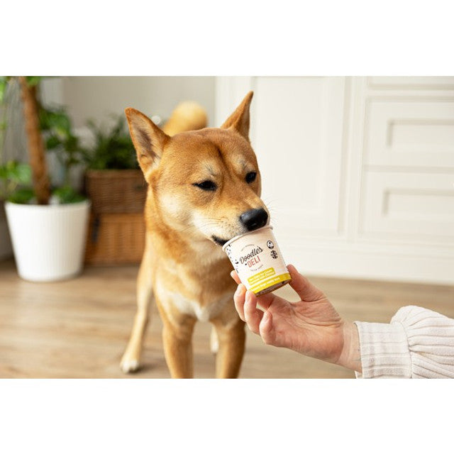 Doodles Deli Chicken Frozen Doggy Treats 125ml
