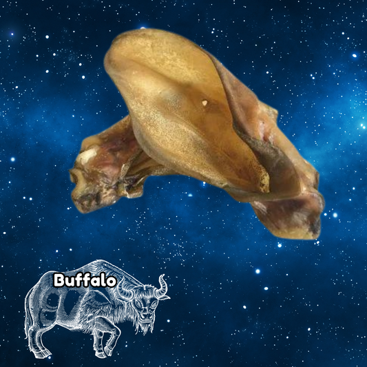 Pup Planet Deli - Buffalo Ear (with meat)
