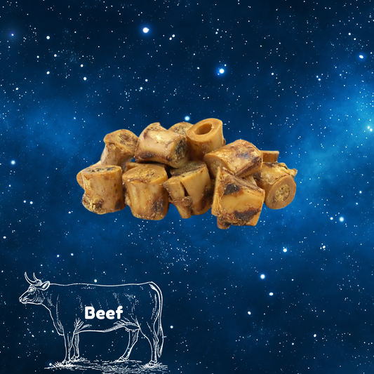 Pup Planet Deli - Beef Mini Marrow Bone (single)