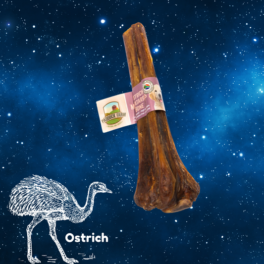 Pup Planet Deli - Ostrich Metatarsus Bone