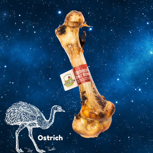 Pup Planet Deli - Ostrich Dino Bone (Smoked)