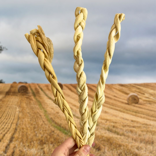 Lamb Skin Braid 30cm - Single