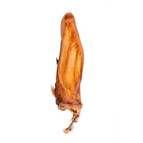 Air Dried Goat Ear with Hair (single)