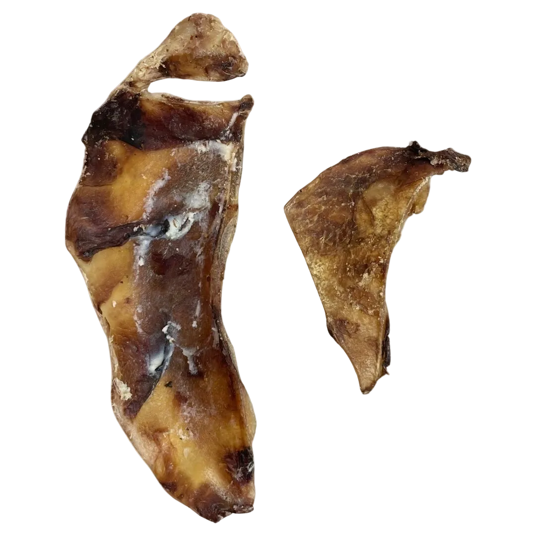 Two pieces of brown air dried beef cartilage