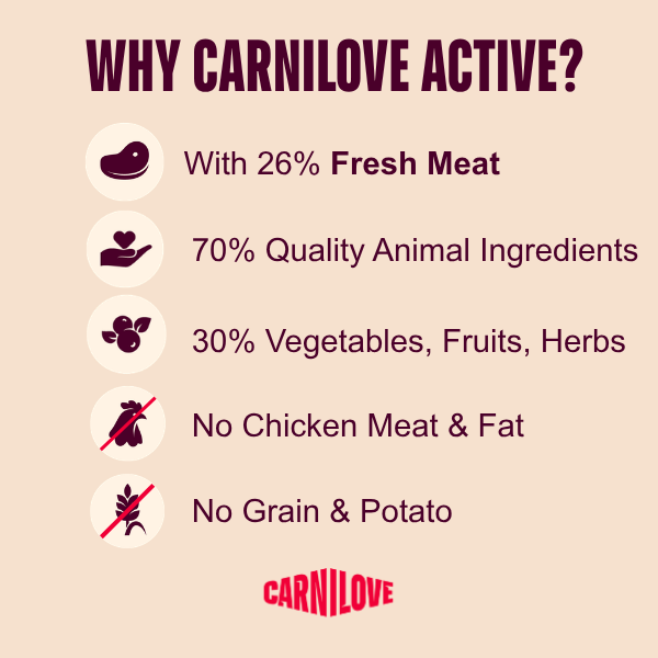 Carnilove Active Salmon & Turkey for Junior Large Breeds 4kg