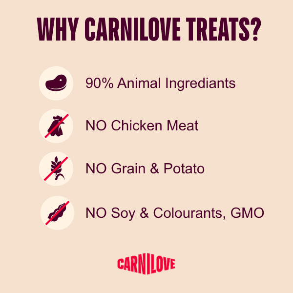Carnilove Jerky Turkey & Venison Dog Treats 100g