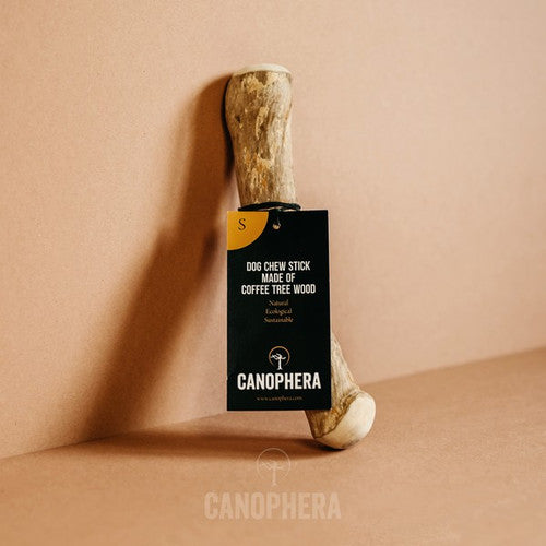 Canophera - Chew Stick - Small