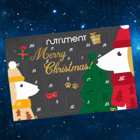 Gourmet Advent Calendar for Dogs