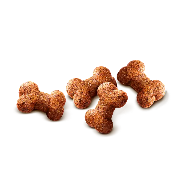 4 Loose bone shaped dog treats