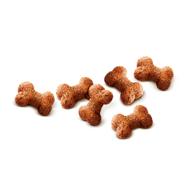 Dog treats shaped like bones on a white background
