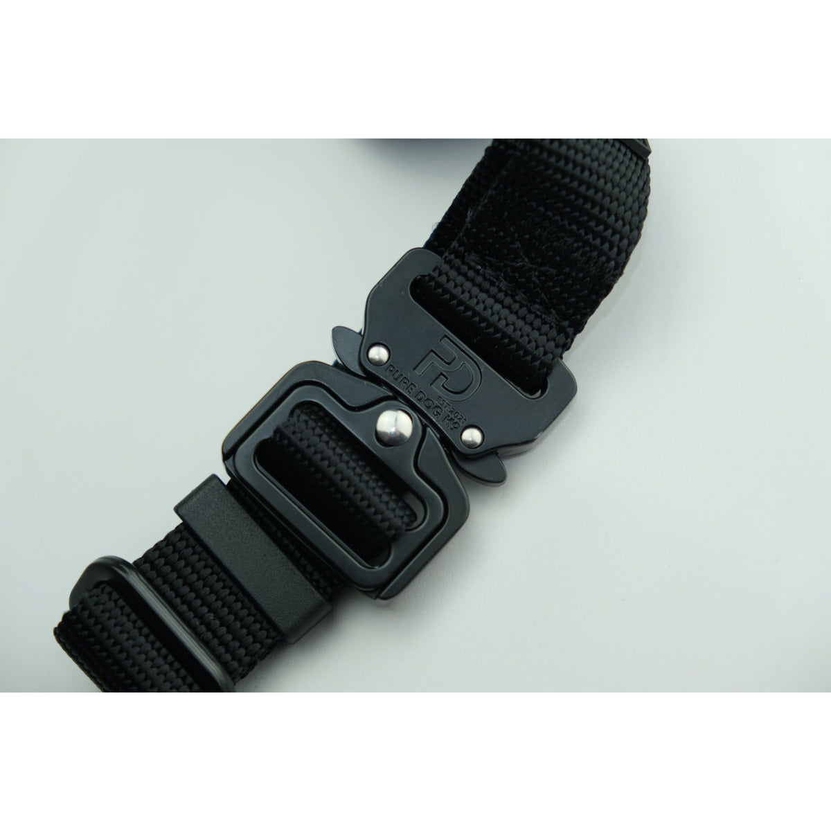 2.5cm Head Collars