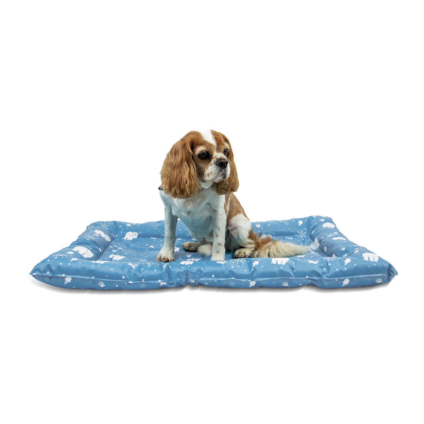 Ancol Ice Paws Cooling Mat - Large