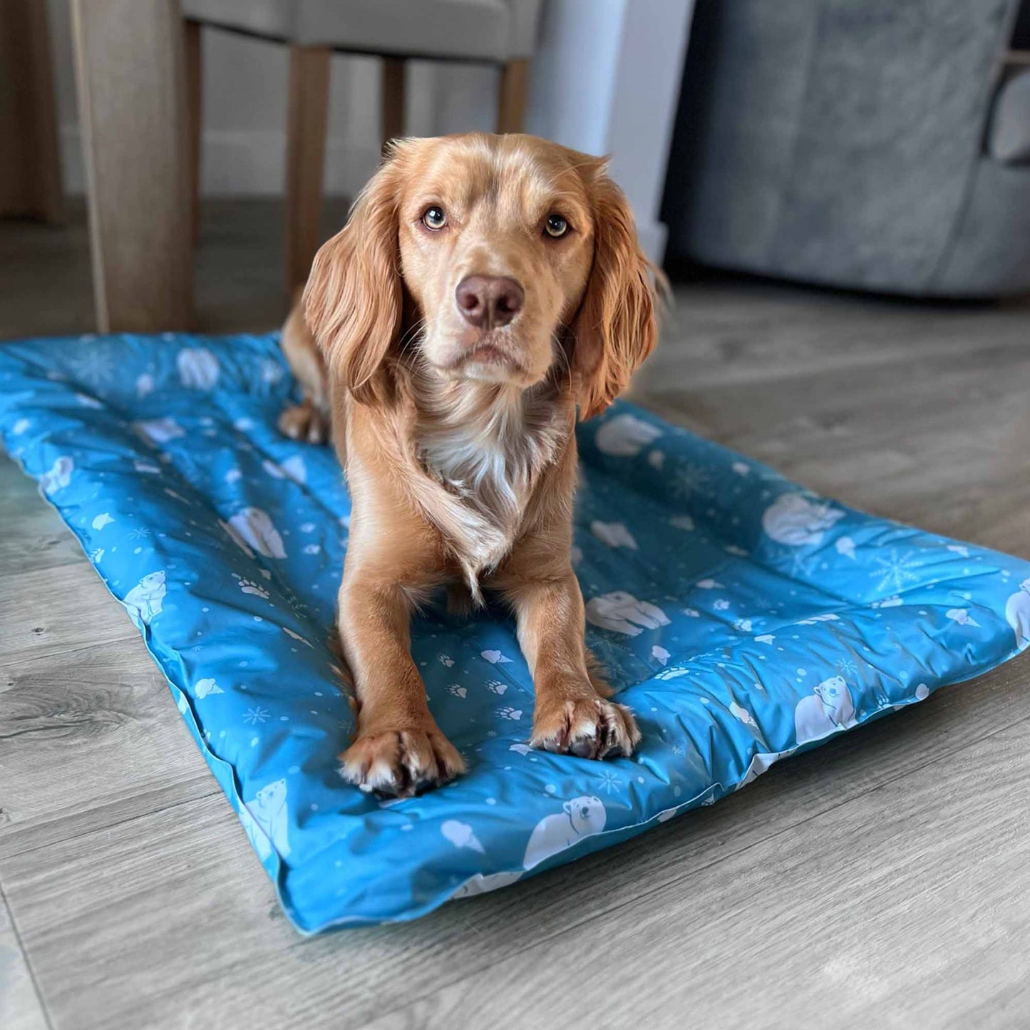 Ancol Ice Paws Cooling Mat - Large