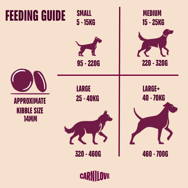 Carnilove Active Lamb & Wild Boar Dog Food for Adult Dogs 4kg
