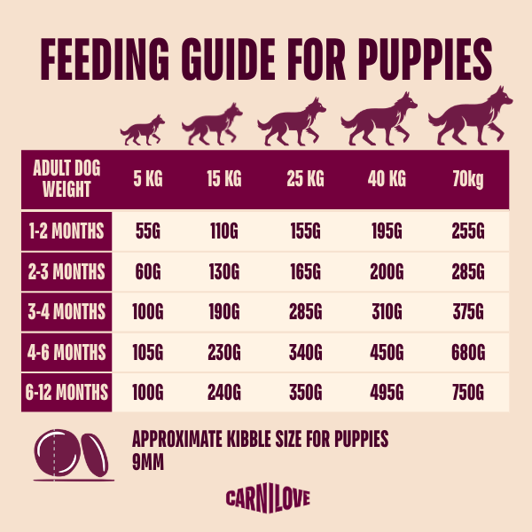Carnilove Active Salmon & Turkey for Puppies 1.5kg