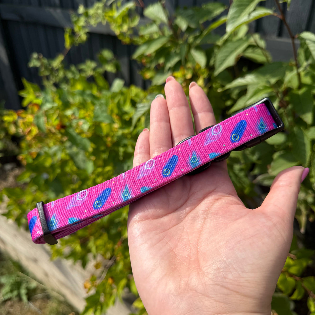 Peacock Power Dog Collar: Stylish, Durable, and Comfortable for Your Dog