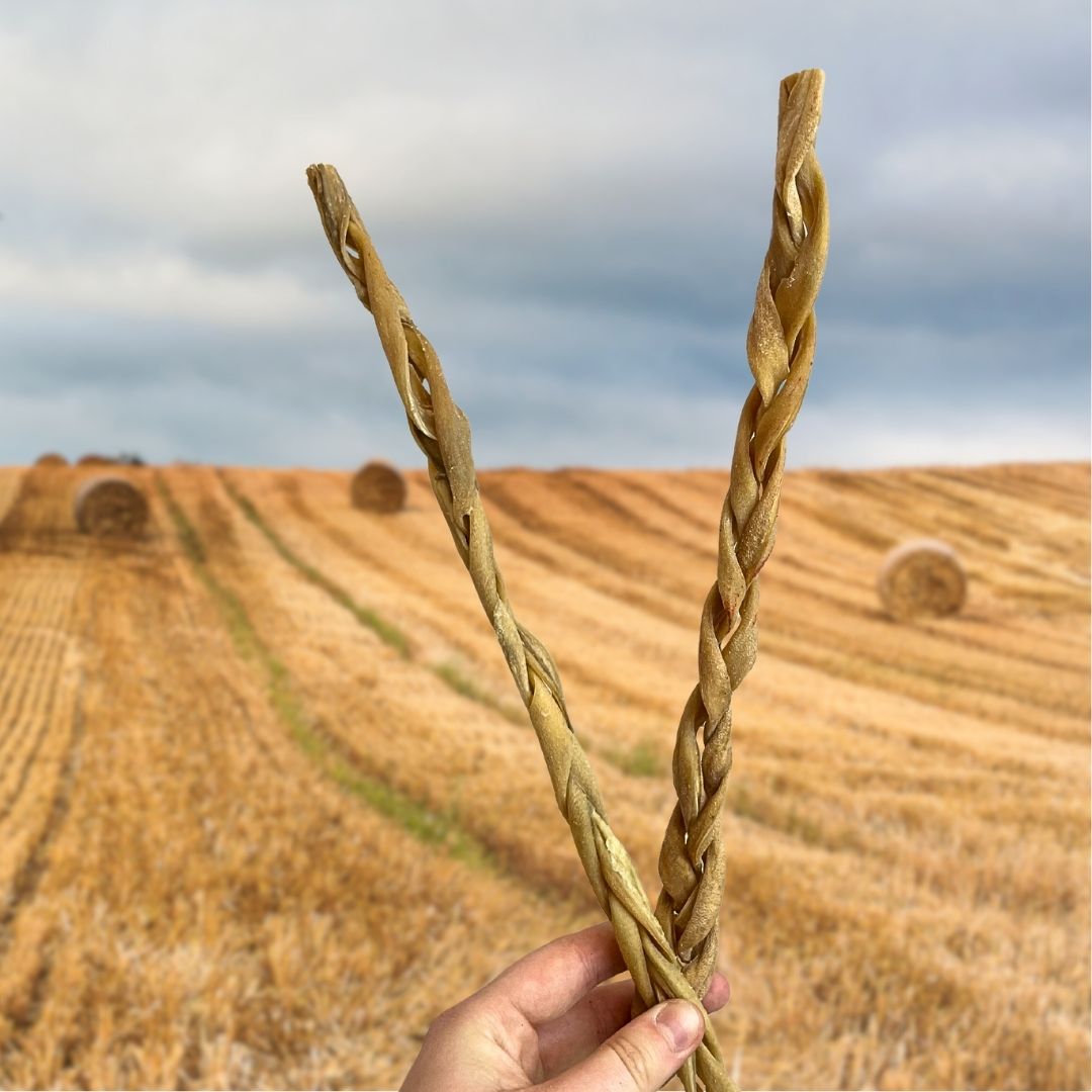 Air Dried Goat Skin Braid 30cm - Single